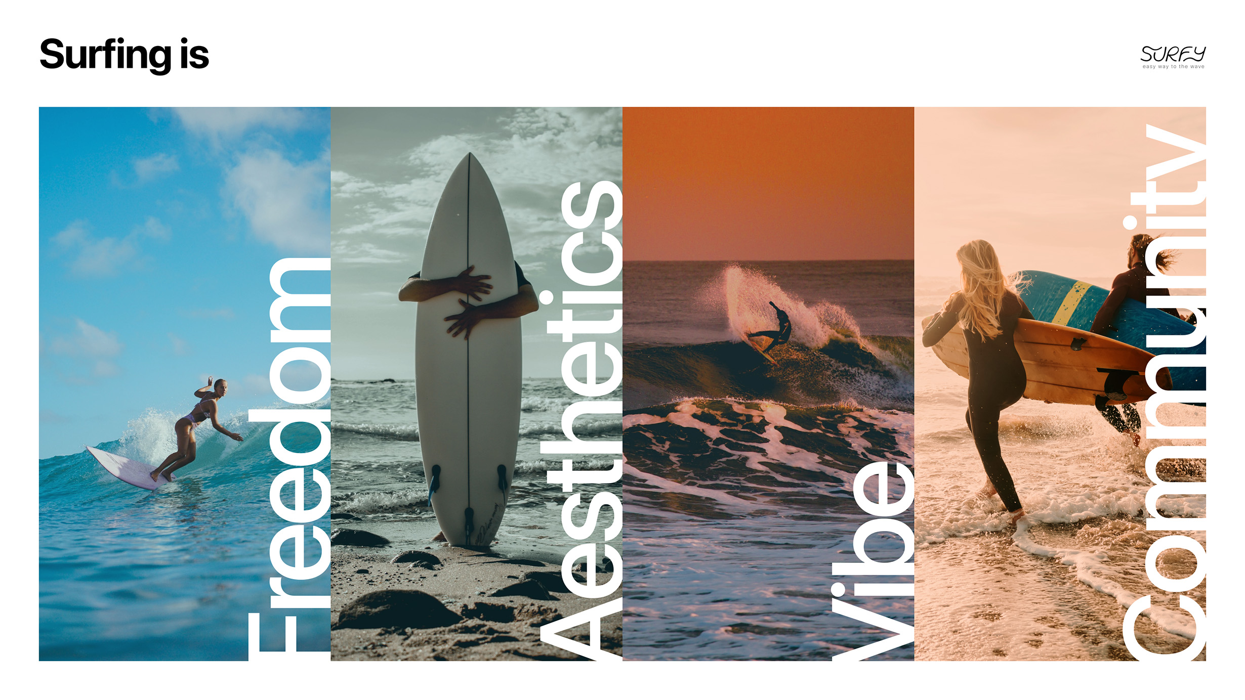 Дизайн питч-презентации проекта Surfy