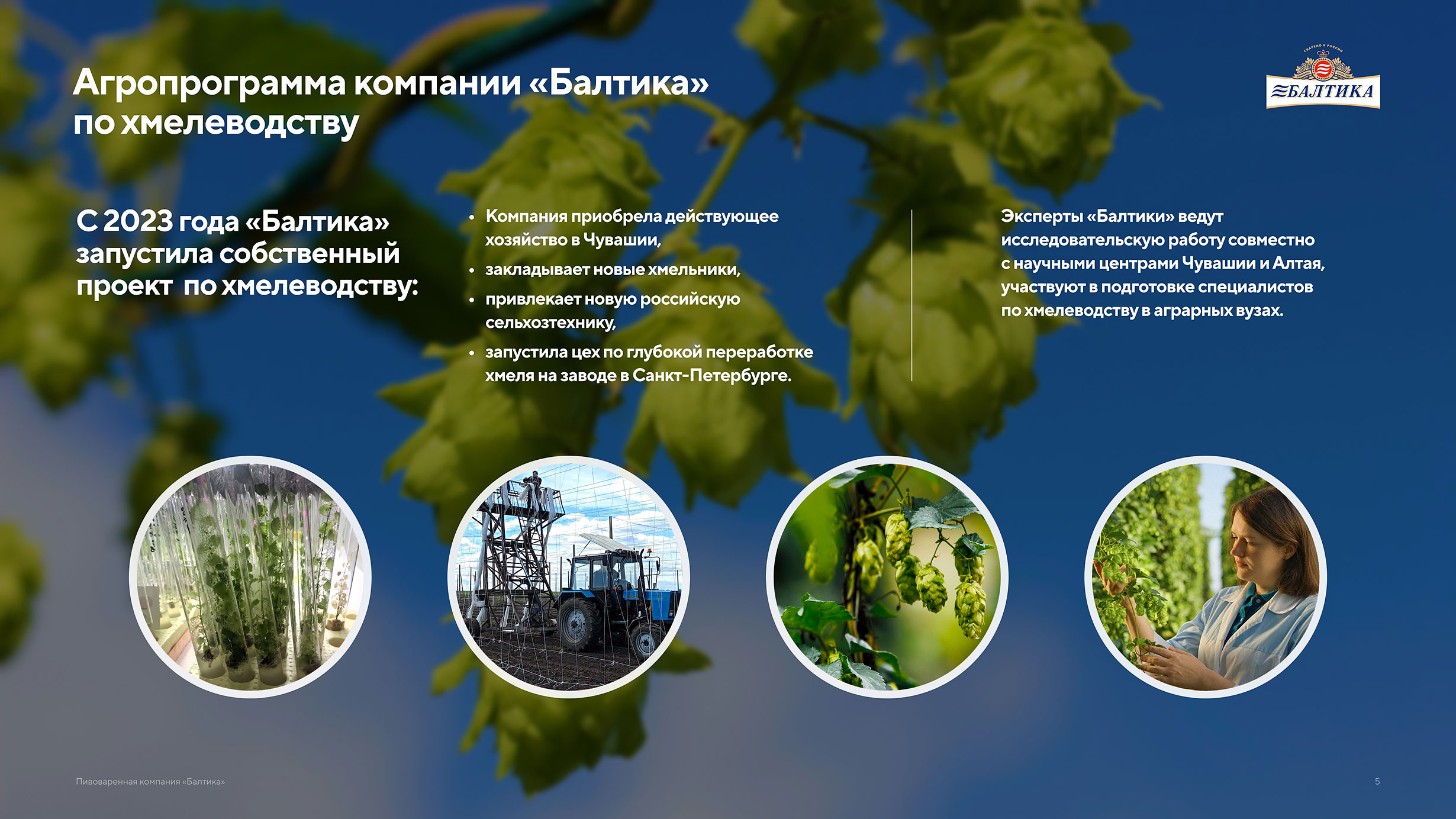 Презентация пивоваренной компании Балтика