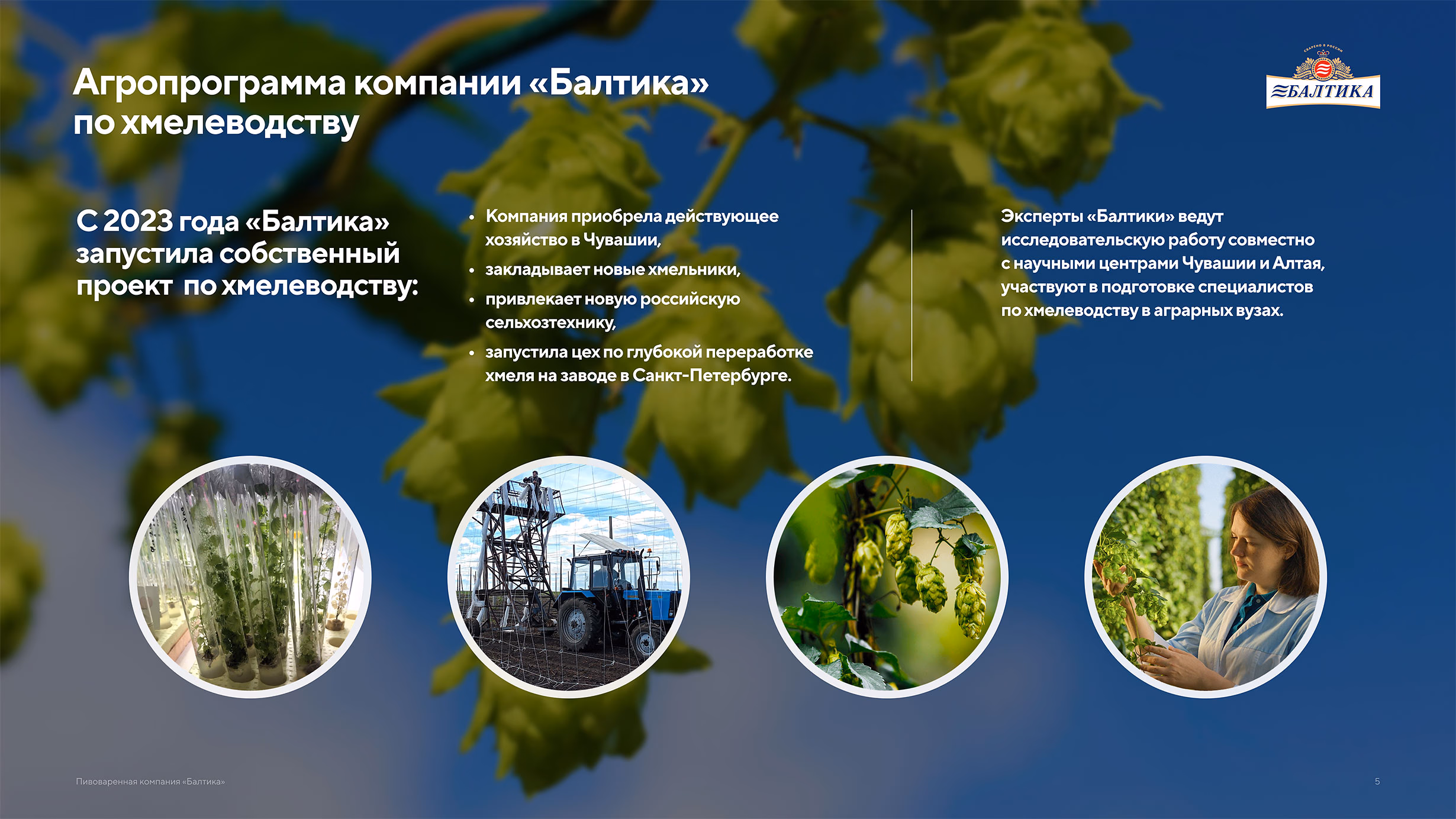 Презентация пивоваренной компании Балтика